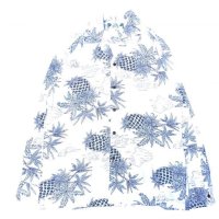 TWO PALMS (トゥーパームス) L/S Hawaiian collar shirt / Rayon PINEAPPLE MAP ホワイト