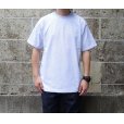 画像5: CalCru (カルクルー) 5.5oz Adult 1/16 microstripe T-shirt アッシュ/ホワイト