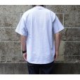 画像7: CalCru (カルクルー) 5.5oz Adult 1/16 microstripe T-shirt アッシュ/ホワイト