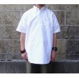 画像4: SERO (セロ ) B.D. SHORT SLEEVE PO SHIRT OXFORD ホワイト