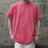 VELVASHEEN (ベルバシーン) 14/1 (PIGMENT) S/S C/N TEE W/PKT フェニックスレッド
