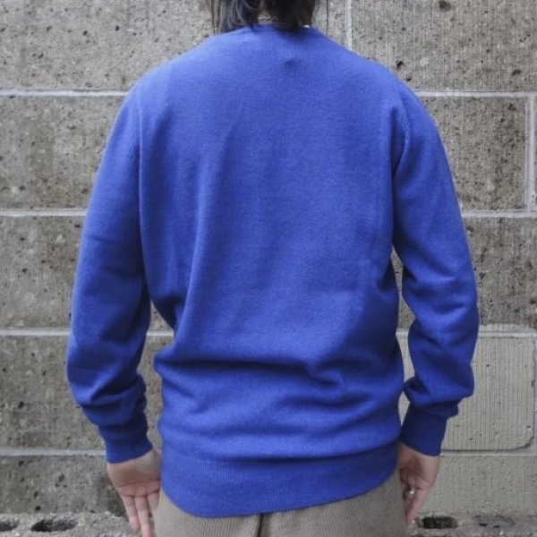 画像6: ALAN PAINE (アランペイン) GEELONG L/S C/N ペルシアン