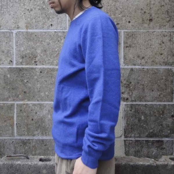 画像5: ALAN PAINE (アランペイン) GEELONG L/S C/N ペルシアン