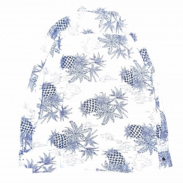 画像2: TWO PALMS (トゥーパームス) L/S Hawaiian collar shirt / Rayon PINEAPPLE MAP ホワイト
