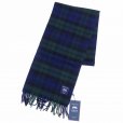 画像1: BRONTE by MOON (ブロンテバイムーン) Dales Scarves - Tartan Check ブラックウォッチ (1)