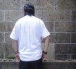 画像6: CAMBER (キャンバー) 6oz FINEST CASUAL WEIGHT POCKET T-SHIRT ホワイト (6)