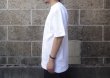 画像5: CAMBER (キャンバー) 8oz MAX WEIGHT POCKET T-Shirts ホワイト (5)