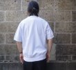 画像8: SPECIAL EDITION by CAMBER (キャンバー) 8oz S/S CREWNECK グレー (8)