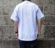 画像7: CalCru (カルクルー) 5.5oz Adult 1/16 microstripe T-shirt アッシュ/ホワイト (7)