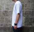 画像6: CalCru (カルクルー) 5.5oz Adult 1/16 microstripe T-shirt アッシュ/ホワイト (6)