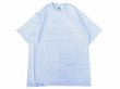 画像1: CalCru (カルクルー) 5.5oz Adult 1/16 microstripe T-shirt アッシュ/ホワイト (1)