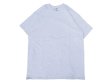 画像1: Deadstock EURO FRUIT OF THE LOOM TEE グレー (1)