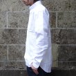 画像6: GAMBERT SHIRT (ギャンバートシャツ) B/D SHIRT OX SOLID ホワイト (6)