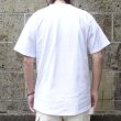 画像3: CalCru (カルクルー) 3 Button 7.2 oz Henley ホワイト (3)