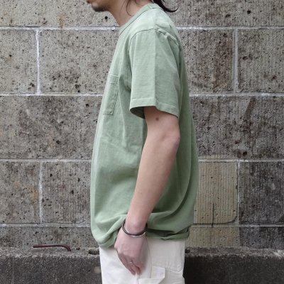 画像2: VELVASHEEN (ベルバシーン) 14/1 (PIGMENT) S/S C/N TEE W/PKT スプルース