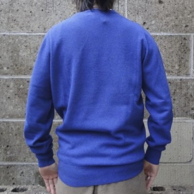 画像3: ALAN PAINE (アランペイン) GEELONG L/S C/N ペルシアン