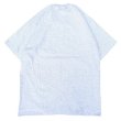 画像2: CalCru (カルクルー) 5.5oz Adult 1/16 microstripe T-shirt アッシュ/ホワイト (2)