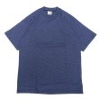 画像1: CalCru (カルクルー) 5.5oz Adult 1/16 microstripe T-shirt ネイビー (1)