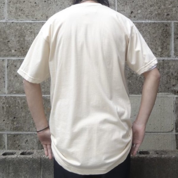 画像9: IMPORT (インポート) Light in the Attic Records LITASHIRTFAM LITA FAMILY T-Shirts (9)