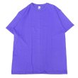 画像1: TEXAS APPAREL & BIG TEES (テキサスアパレル アンド ビッグティーズ) BASIC TEE パープル (1)